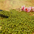 Verde Mung Beans 2.8-4.4mm, HPS Top Qualidade Grau, Atual Colheita, Bem Limpo